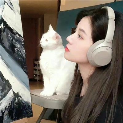 激光鹰